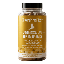 1x ArthroFix™
