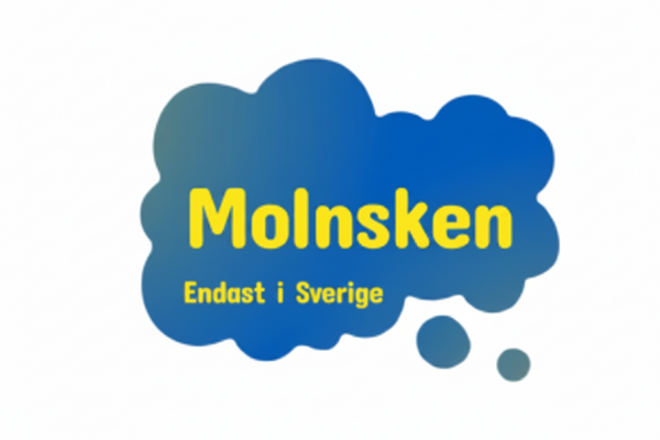 Molnsken